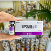 Liporase Dissolve Hyaluronic Acid Hyaluronidase Liporase Injection Lipolab to Remove Fillers