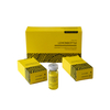 Korean Slim Ampoule Lipolytic Solution Body Slimming Fat Reduction
